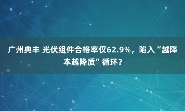 广州典丰 光伏组件合格率仅62.9%，陷入“越降本越降质”循环？