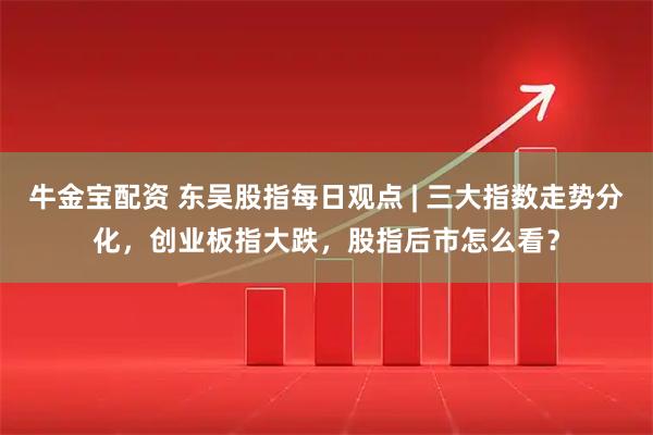 牛金宝配资 东吴股指每日观点 | 三大指数走势分化，创业板指大跌，股指后市怎么看？