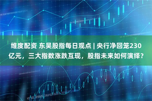 维度配资 东吴股指每日观点 | 央行净回笼230亿元，三大指数涨跌互现，股指未来如何演绎？