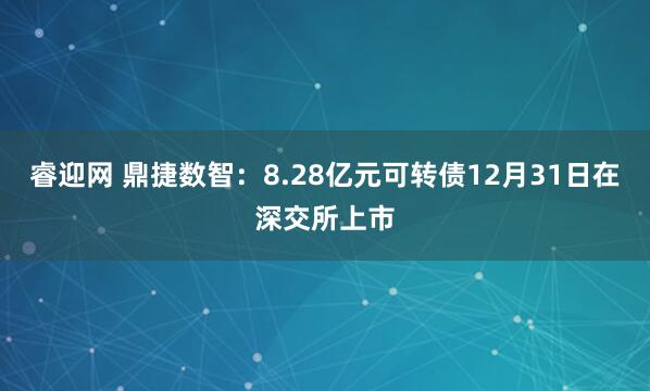 睿迎网 鼎捷数智：8.28亿元可转债12月31日在深交所上市
