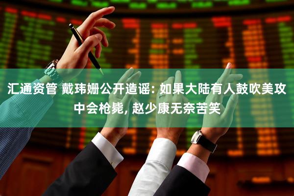 汇通资管 戴玮姗公开造谣: 如果大陆有人鼓吹美攻中会枪毙, 赵少康无奈苦笑