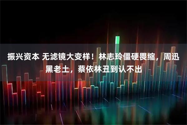振兴资本 无滤镜大变样！林志玲僵硬畏缩，周迅黑老土，蔡依林丑到认不出