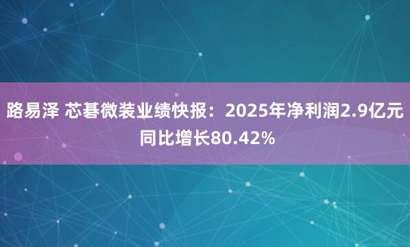 路易泽 芯碁微装业绩快报：2025年净利润2.9亿元 同比增长80.42%