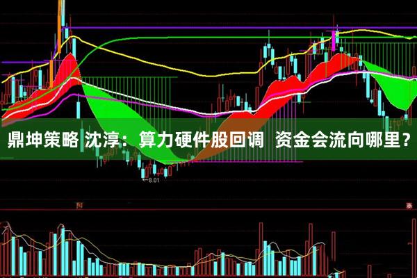 鼎坤策略 沈淳：算力硬件股回调  资金会流向哪里？