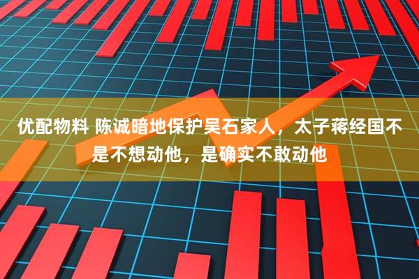 优配物料 陈诚暗地保护吴石家人，太子蒋经国不是不想动他，是确实不敢动他
